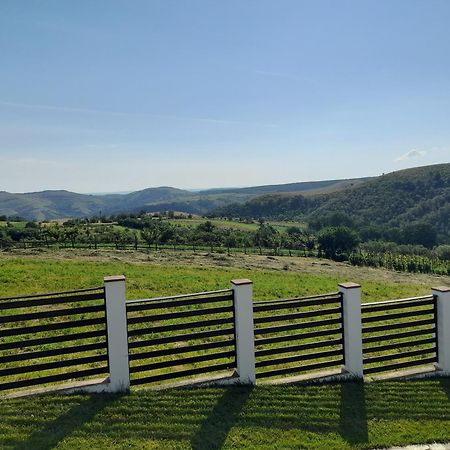 Vila Aloman Sebeş エクステリア 写真