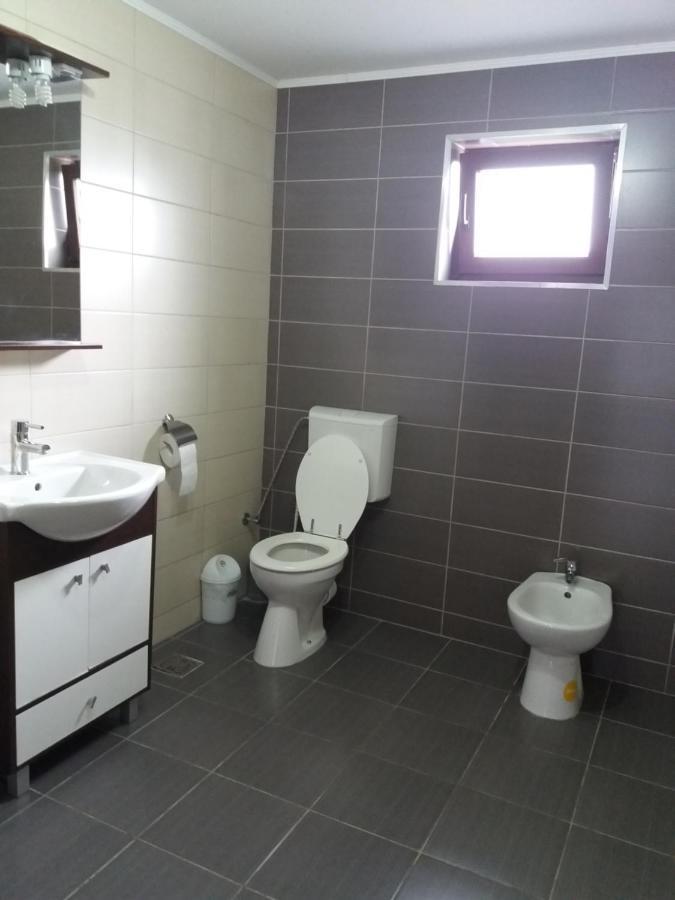 Vila Aloman Sebeş エクステリア 写真