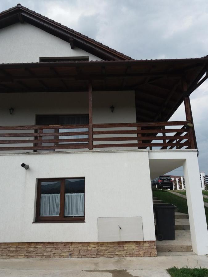 Vila Aloman Sebeş エクステリア 写真