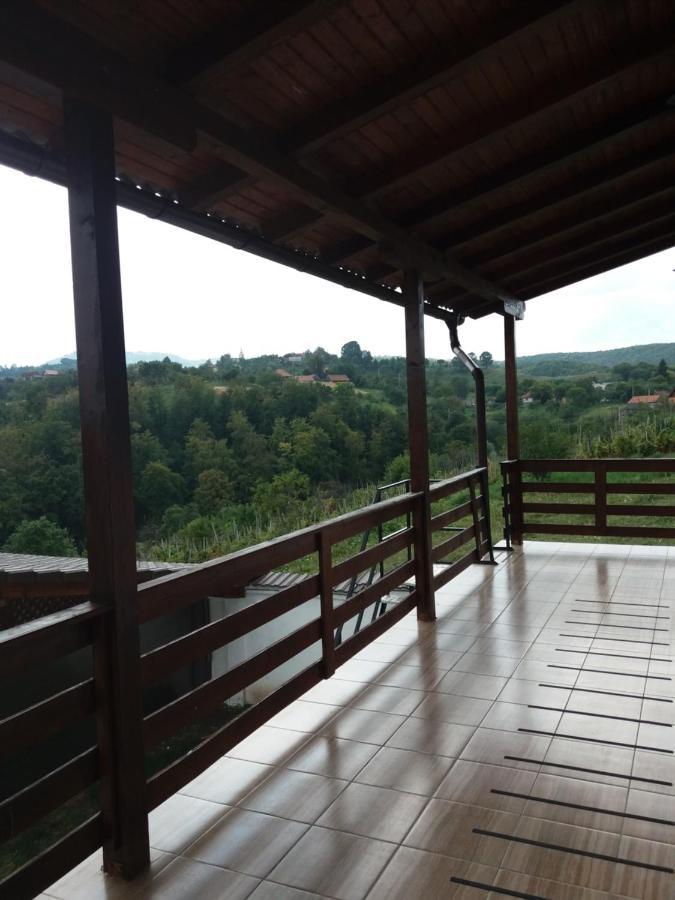 Vila Aloman Sebeş エクステリア 写真