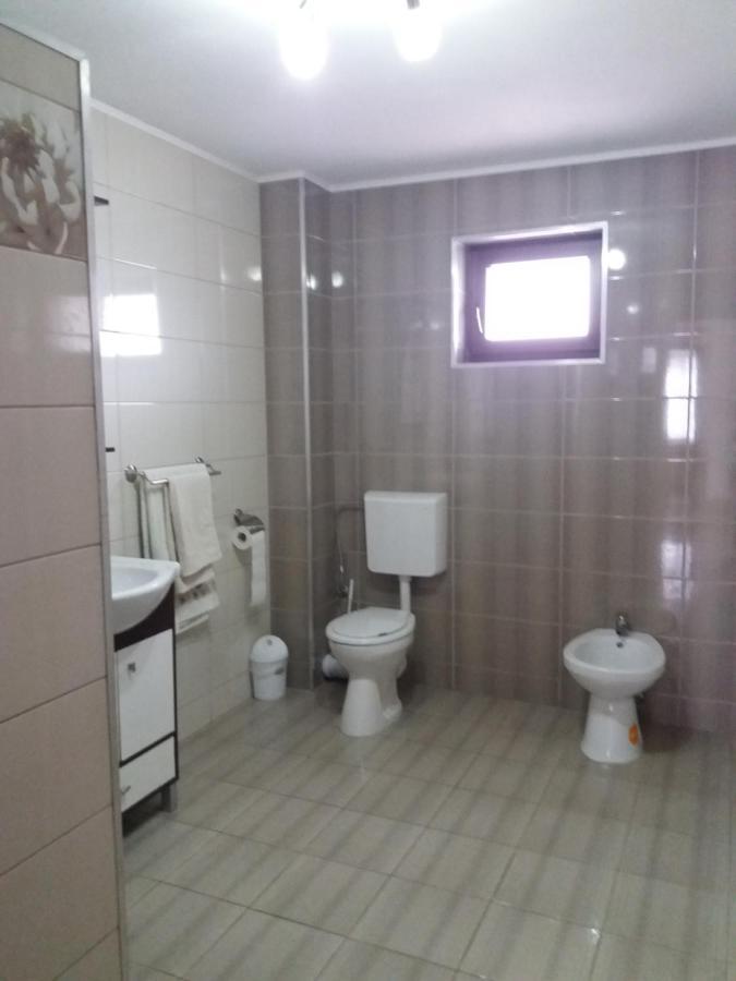 Vila Aloman Sebeş エクステリア 写真