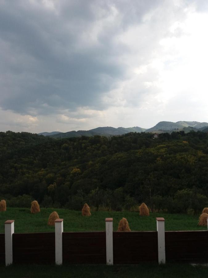 Vila Aloman Sebeş エクステリア 写真
