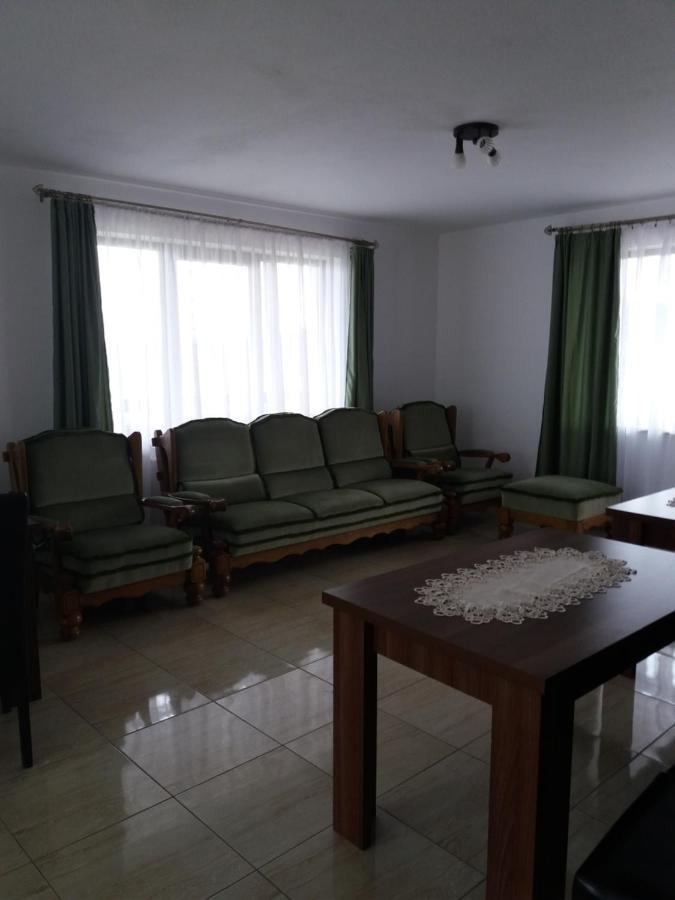 Vila Aloman Sebeş エクステリア 写真