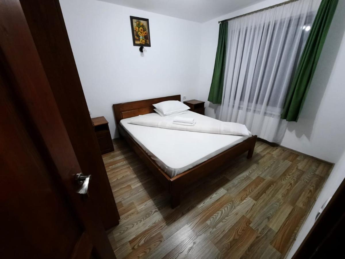 Vila Aloman Sebeş エクステリア 写真