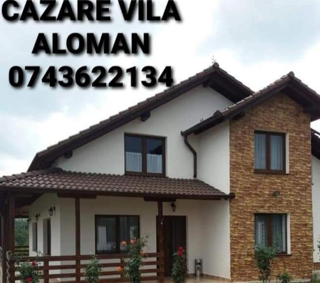 Vila Aloman Sebeş 部屋 写真